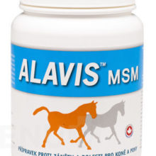 ALAVIS - Alavis MSM pro koně 600g