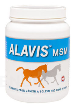 ALAVIS - Alavis MSM pro koně 600g
