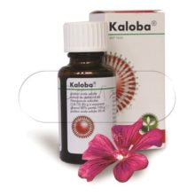 Kaloba por.gtt.sol.1x20ml