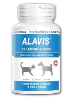 Alavis Celadrin tbl.60