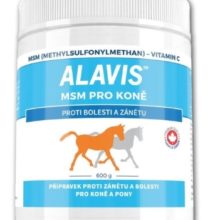 Alavis MSM pro koně 600g