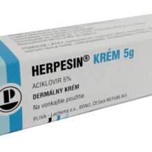 Herpesin krém dermální krém 1 x 5 g 5 %