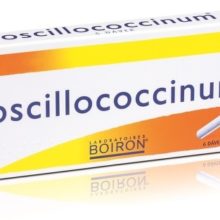 Oscillococcinum perorální gra. 6 x 1 g